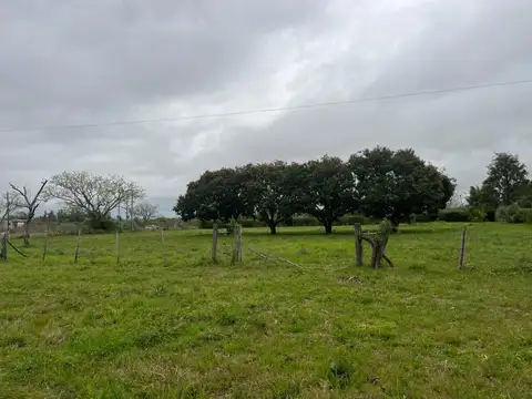 Terreno en Venta en Colonia Carolina, Goya
