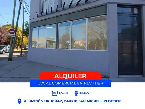 Local en Alquiler en Plottier, Confluencia