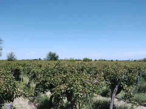 Campo en Venta en Monte Caseros, San Martín