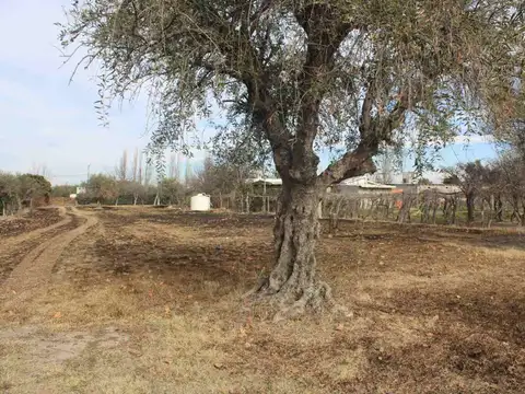 Terreno en Venta en Santa María de Oro, Rivadavia