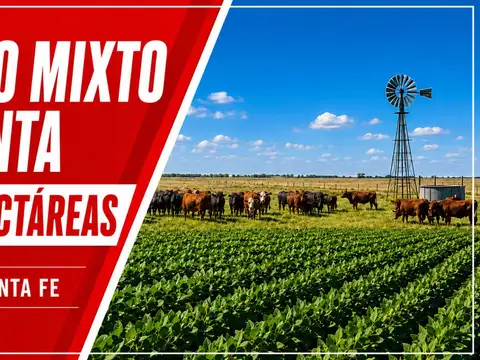 Campo en Venta en Rufino, General López