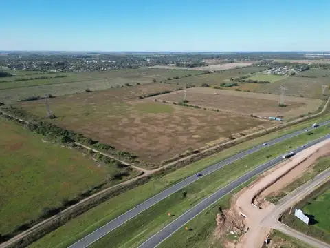 Campo en Venta en Roldan, San Lorenzo
