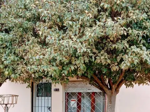 Casa en Venta en Mar del Plata, Partido de General Pueyrredón
