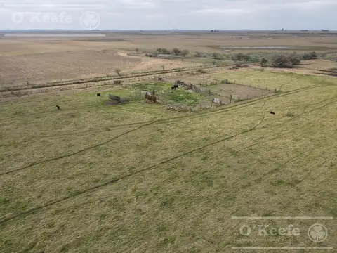 Campo en Venta en Dolores, Partido de Dolores