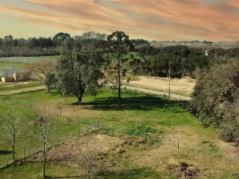 Terreno en Venta en Zarate, Partido de Zárate