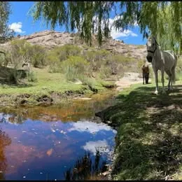 Lotes de terreno con rio en Mina Clavero |50 hectáreas| Financio y vendo