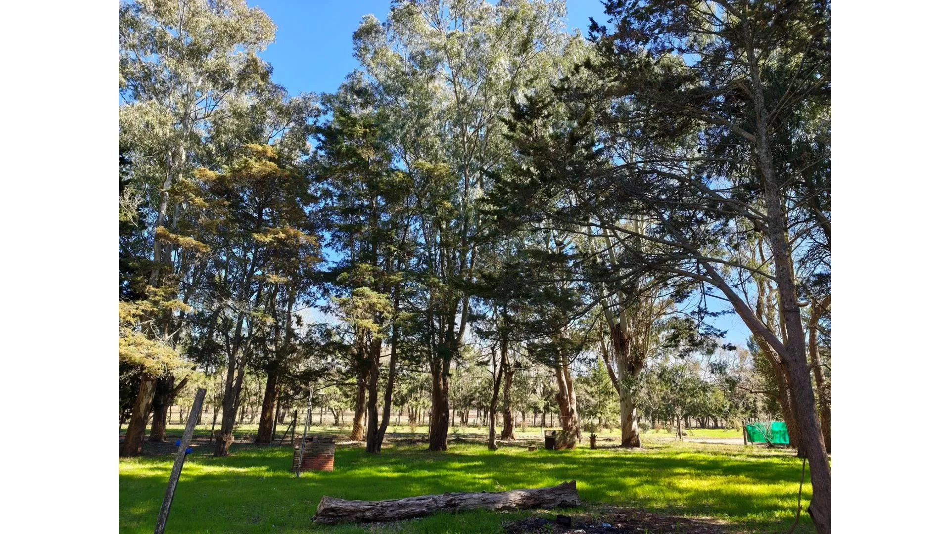 Camping en Mar de Ajó: 6.000 m² para vivir del verano