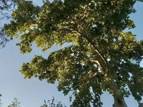 Terreno en Venta en La Plata, Partido de La Plata