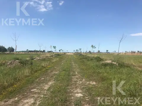 Terreno en Venta en Campos De La Enriqueta, Countries y Barrios Cerrados en la Plata