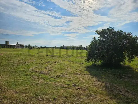 Terreno en Venta en Coronel Brandsen, Partido de Brandsen