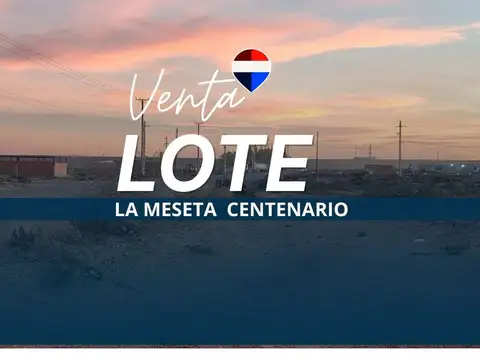 Terreno en Venta en Centenario, Confluencia