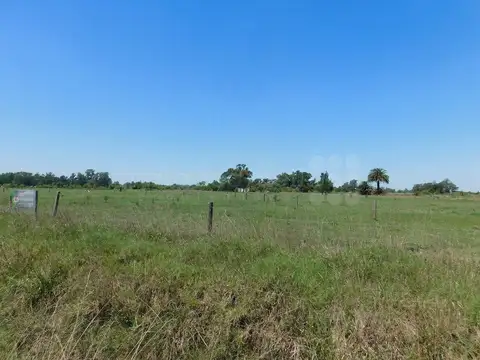Terreno en Venta en Chascomus, Partido de Chascomús