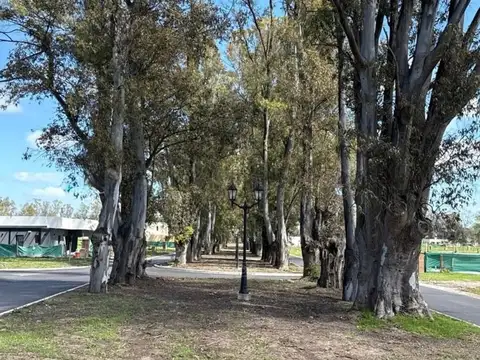 Terreno en Venta en Pilar Del Este - Santa Sofia, Countries y Barrios Cerrados en Pilar