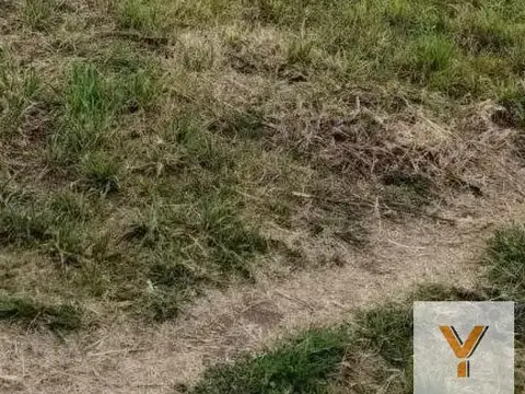 Terreno en Venta en Lincoln, Partido de Lincoln