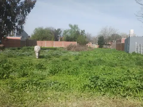 Terreno en Venta en Lisandro Olmos Etcheverry, Partido de La Plata