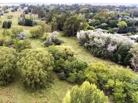 Terreno en Venta en Los Cardales, Partido de Exaltación de la Cruz