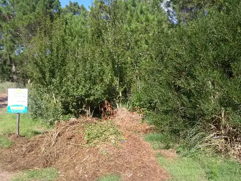 Terreno en Venta en Mar Azul, Partido de Villa Gesell