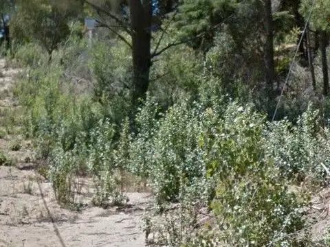 Terreno en Venta en Mar Azul, Partido de Villa Gesell