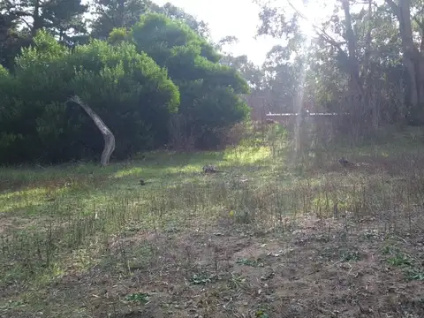 Terreno en Venta en Las Gaviotas, Mar Azul