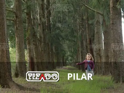 Terreno en Venta en Pilar Centro, Pilar