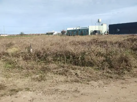 Terreno en Venta en Winifreda, Conhelo