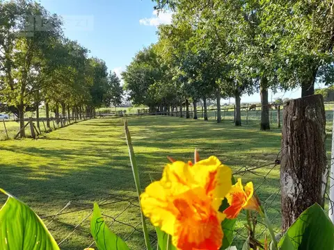 Terreno en Venta en Baradero, Partido de Baradero