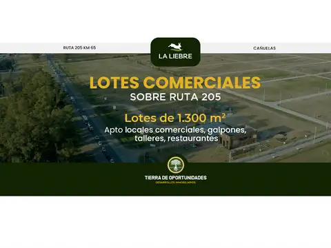 Terreno en Venta en Cañuelas Urbano, Cañuelas