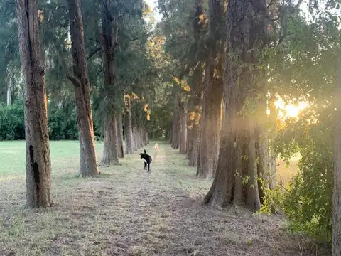 Terreno en Venta en Abasto, Partido de La Plata