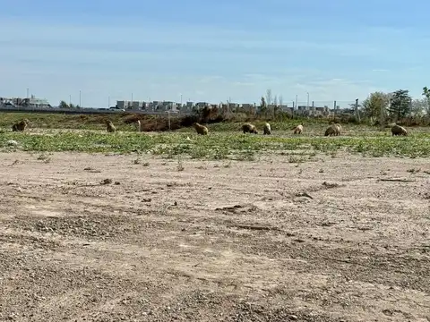 Terreno en Venta en Nordelta, Partido de Tigre
