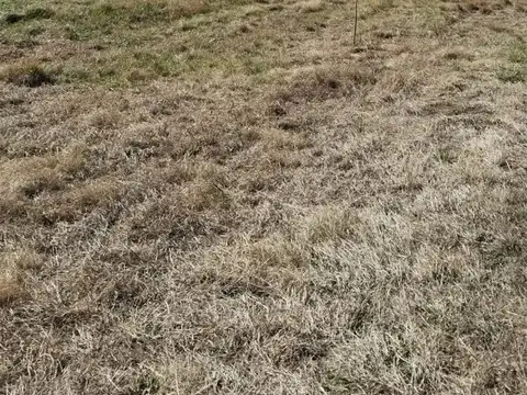 Terreno en Venta en Santa Rosa de Conlara, Junín