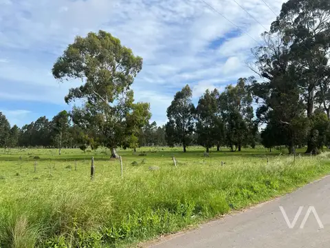 Terreno en Venta en Santa Rosa Del Mar, Mar del Plata