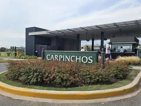 Terreno en Venta en Nordelta Carpinchos, Nordelta