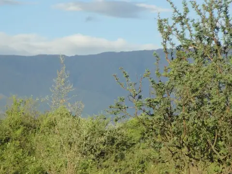 Terreno en Venta en Carpintería, Junín
