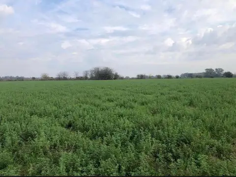 Terreno en Venta en Villa Ruiz, Partido de San Andrés de Giles