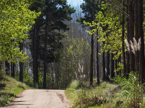 Terreno en Venta en Pinamar, Partido de Pinamar