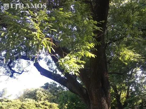 Terreno en Venta en San Isidro, Partido de San Isidro