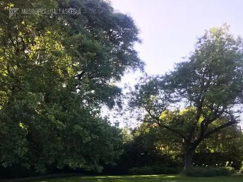 Terreno en Venta en La Horqueta, San Isidro
