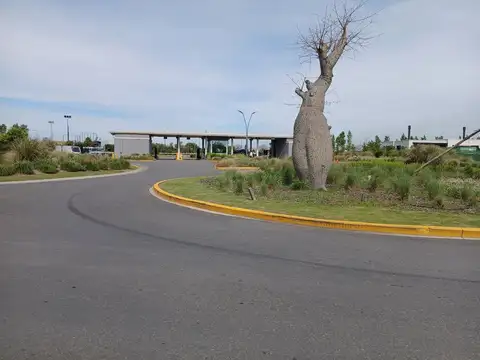 Terreno en Venta en Nordelta Virazón, Nordelta