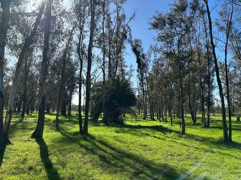 Campo en Venta en Timbúes José María, San Lorenzo