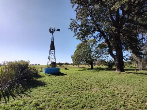 Campo en Venta en San Nicolás de los Arroyos, Partido de San Nicolás