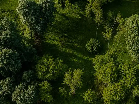 Terreno en Venta en Amarylis, Exaltación de la Cruz