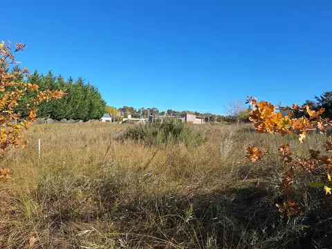 Terreno en Venta en Pehuen Co, Partido de Coronel de Marina Leonardo Rosales