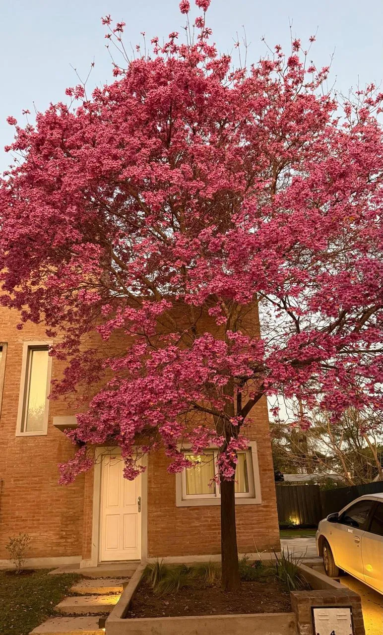 PH de 90 m² con 2 Dorm. Amoblado en Alquiler en Housing Jacarandá