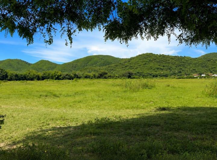 Terreno · 77005m²