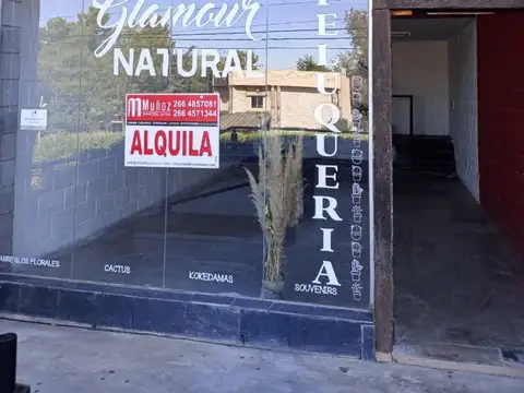 Local en Alquiler en Potrero de los Funes, Juan Martín de Pueyrredón