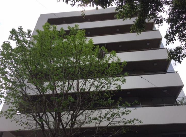 Departamento · 50m² · 2 Ambientes