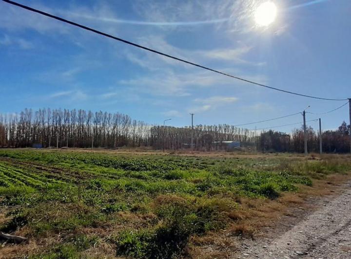Terreno · 292m²