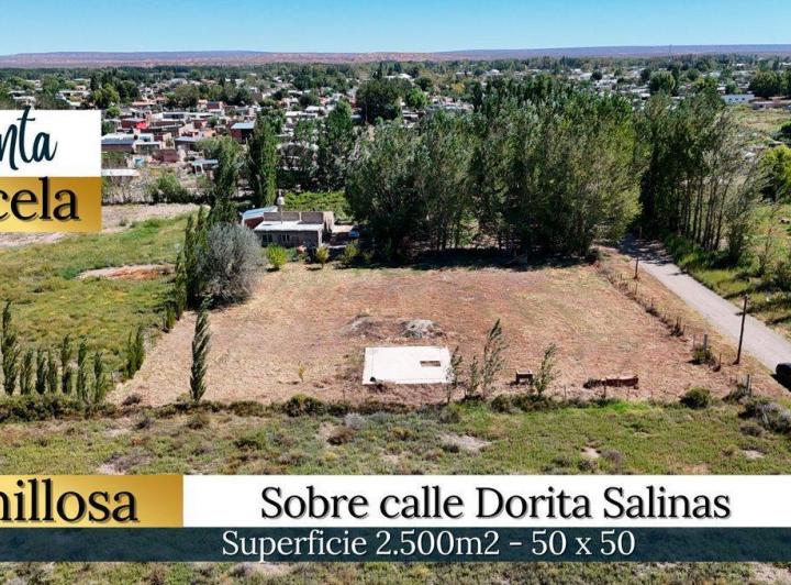 Terreno · 2500m²