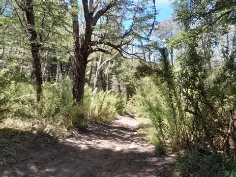 Terreno en Venta en San Martín de los Andes, Lácar