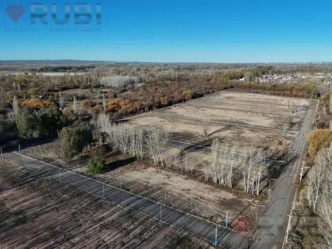 Terreno en Venta en Centenario, Confluencia